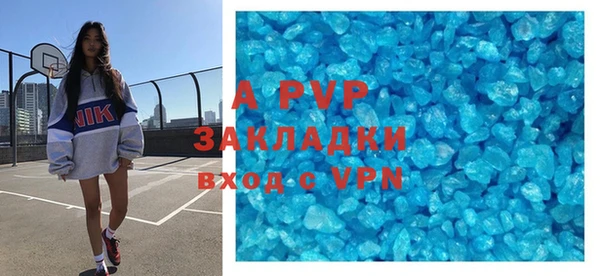хмурый Аркадак