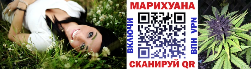 где найти наркотики Чудово Конопля планчик